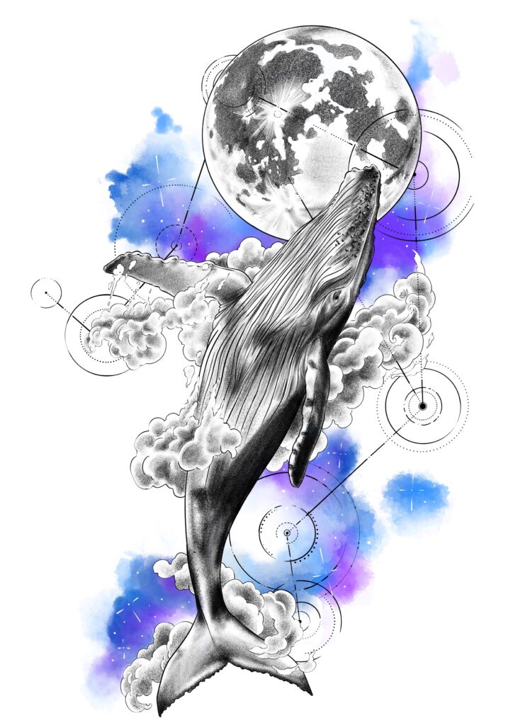 illustration baleine et lune